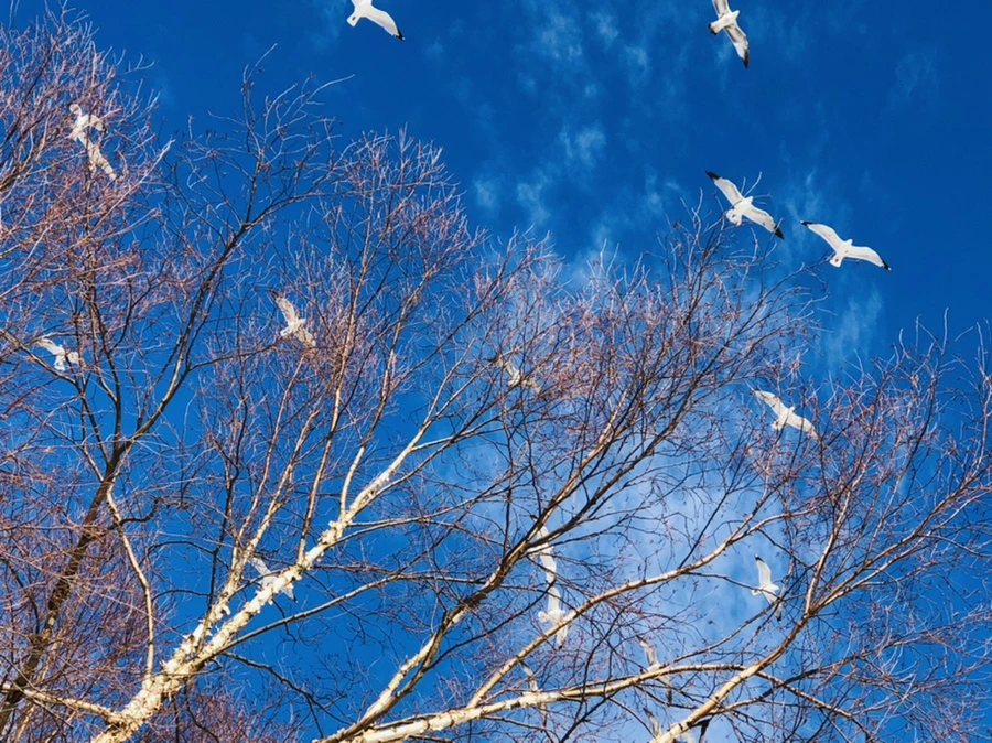 IMG_0283.jpg?type=w966