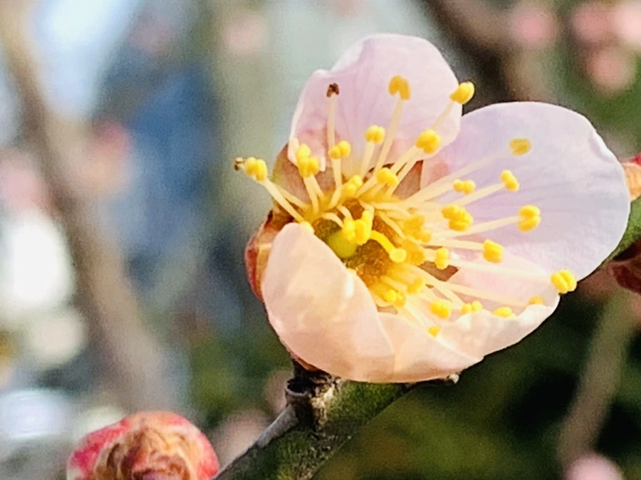 IMG_0265.jpg?type=w966