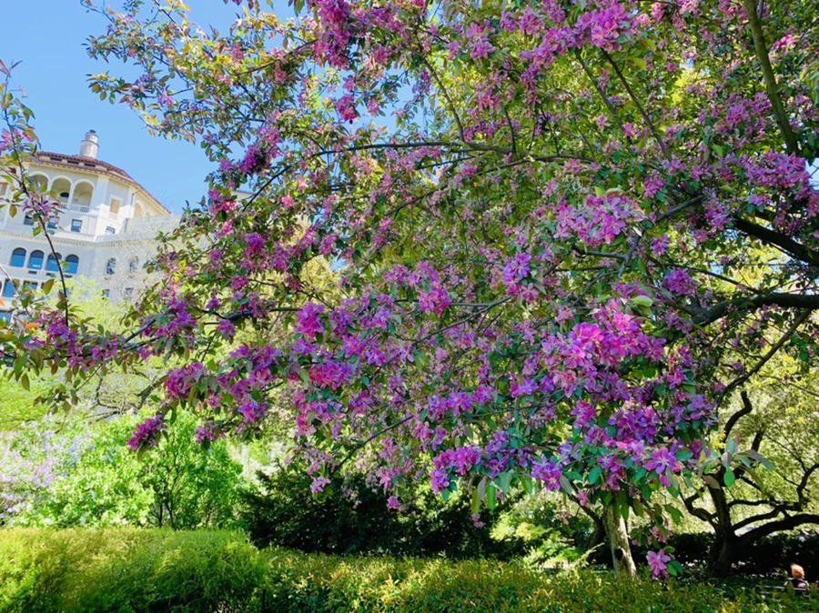 IMG_5739.jpg?type=w966