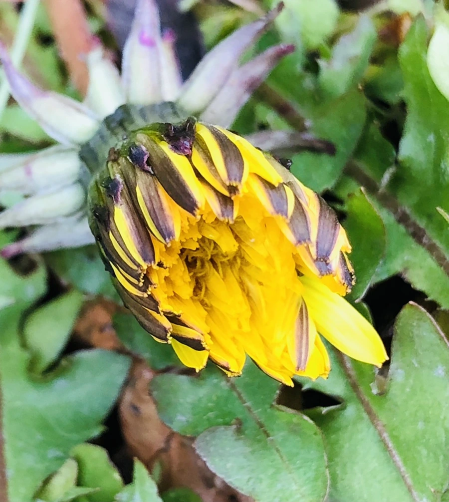 IMG_8804.jpg?type=w966