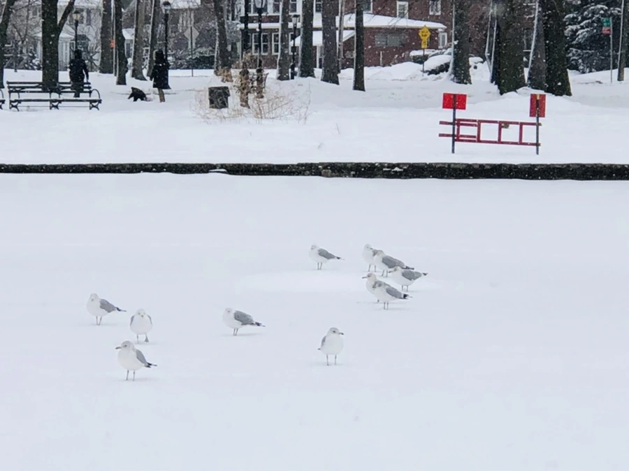 IMG_3647.jpg?type=w966