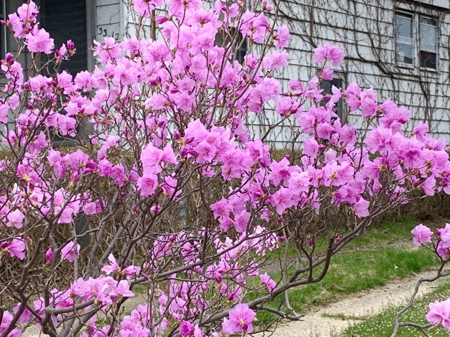 IMG_5988.jpg?type=w966