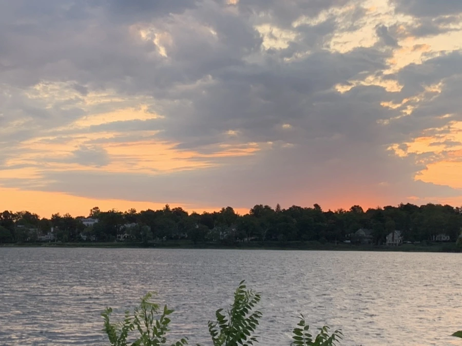 IMG_1690.jpg?type=w966