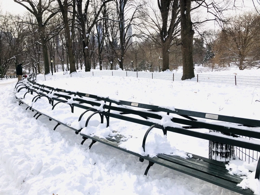 IMG_7269.jpg?type=w966