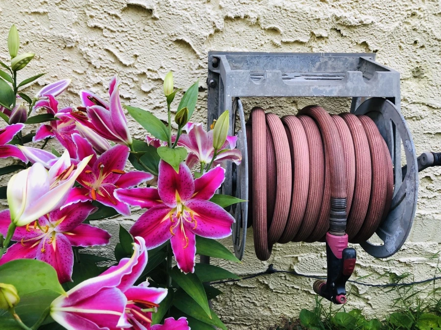 IMG_2448.jpg?type=w966