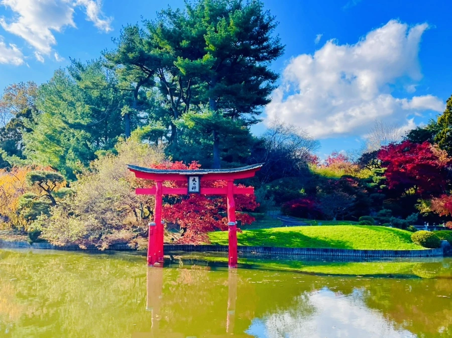 IMG_3054.jpg?type=w966