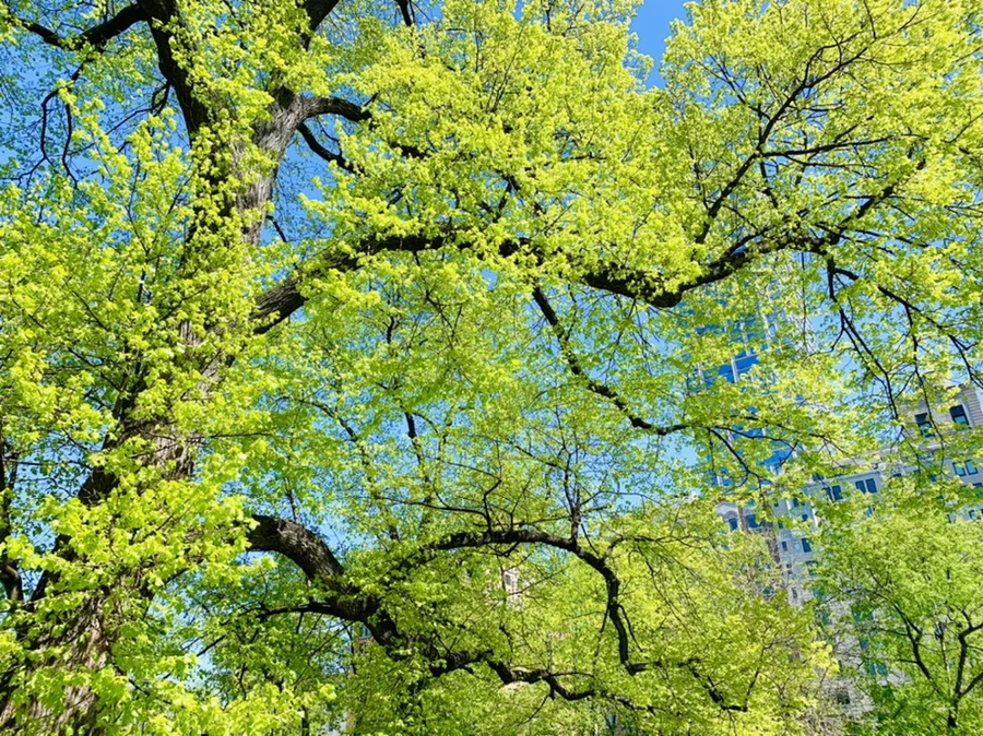 IMG_5710.jpg?type=w966