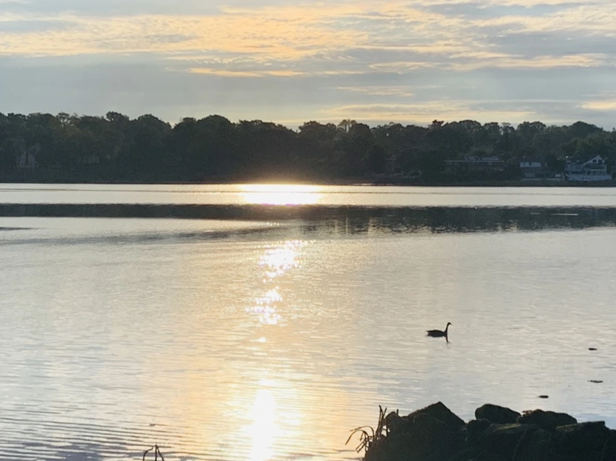 IMG_7730.jpg?type=w966