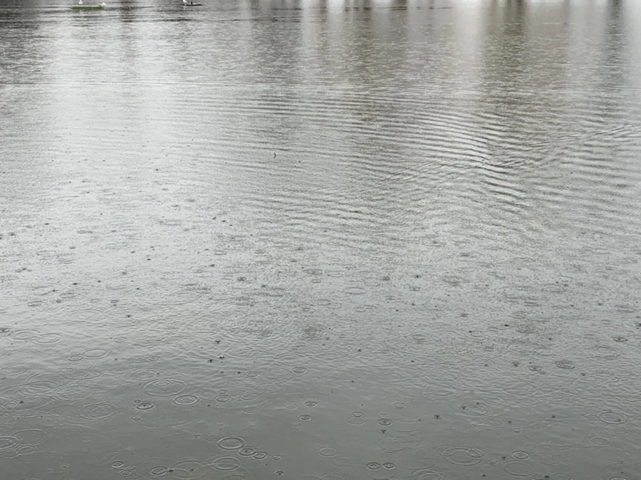 IMG_2045.jpg?type=w966