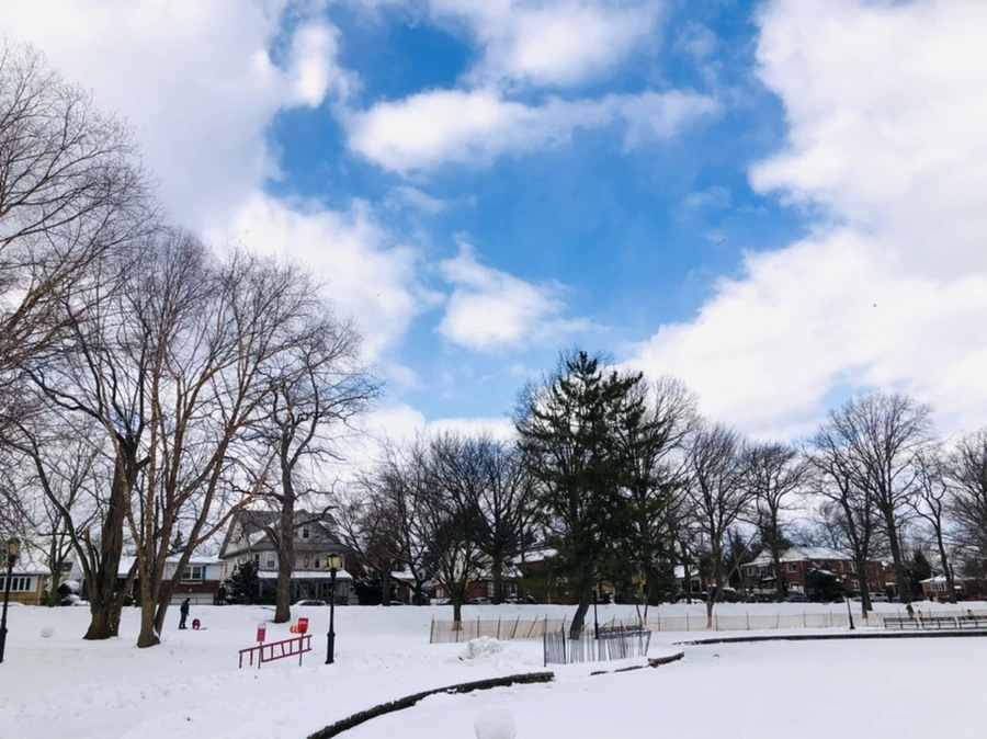 IMG_3880.jpg?type=w966