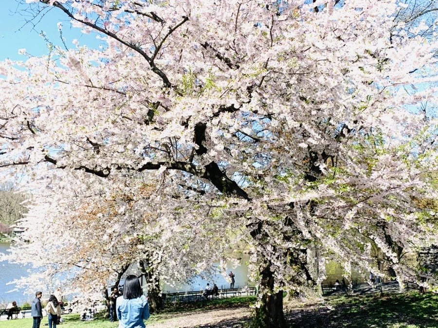 IMG_1863.jpg?type=w966