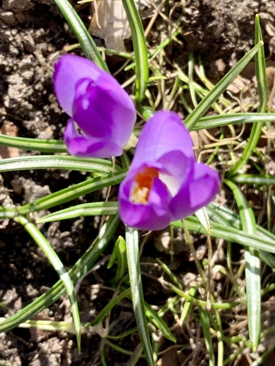 Mlgebq_KGyULItqGjgW-ZJ3asIU