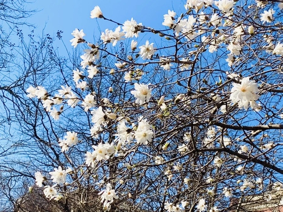 0ixU_NbcKKkuaUCQBeHmqCxu4wg