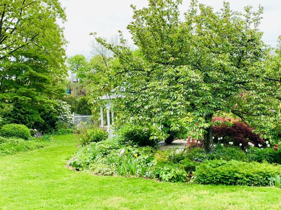 IMG_1291.jpg?type=w966