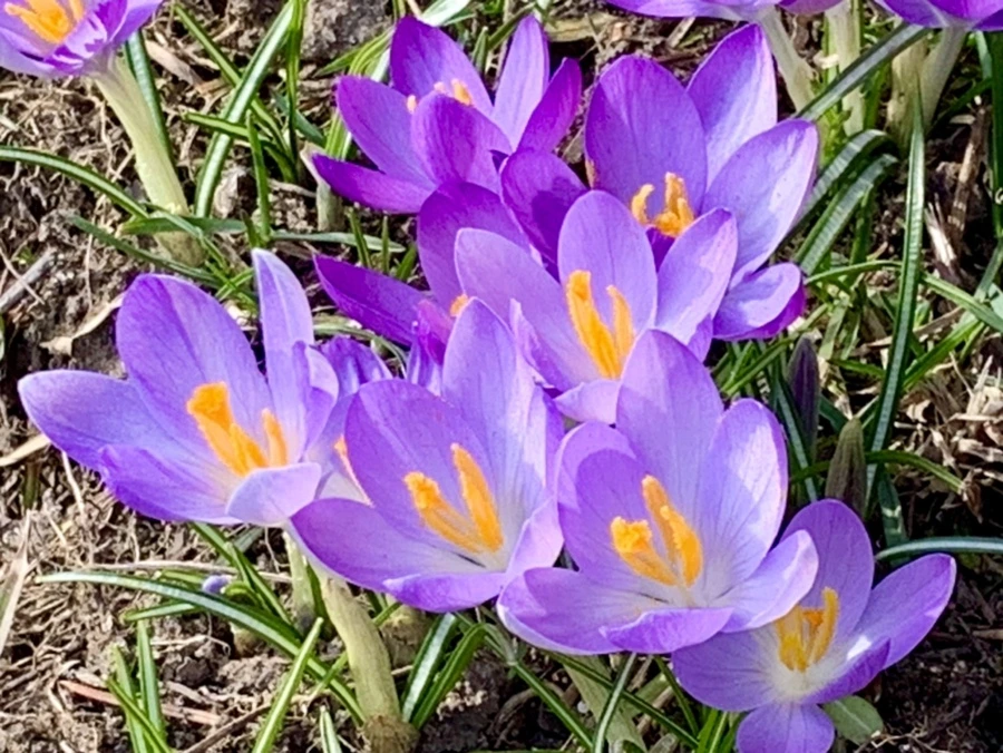 IMG_0284.jpg?type=w966