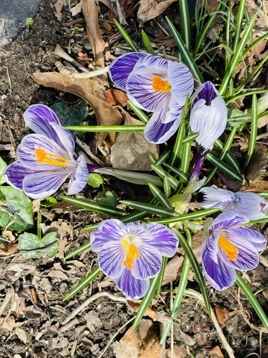 IMG_5174.jpg?type=w966