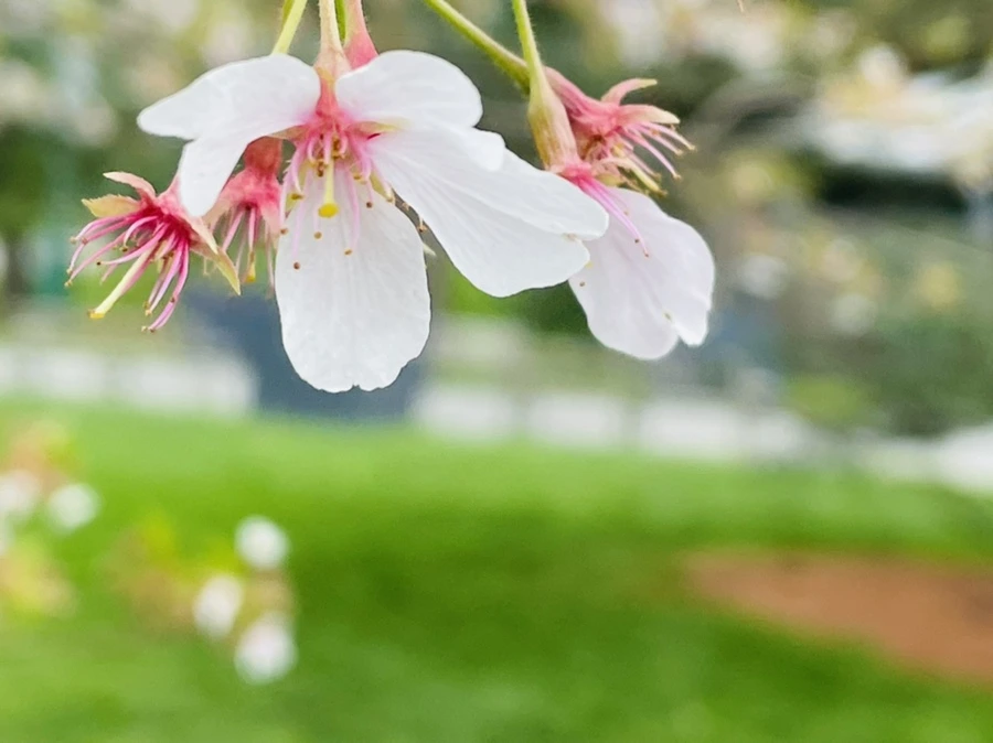 IMG_1400.jpg?type=w966