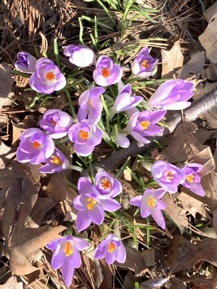 IMG_9637.jpg?type=w966