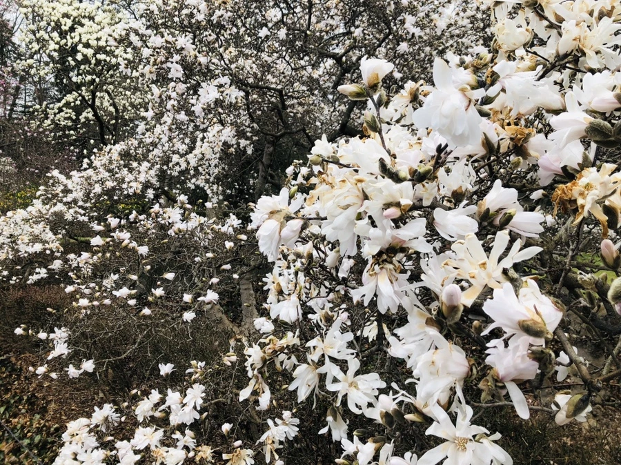 IMG_2332.jpg?type=w966