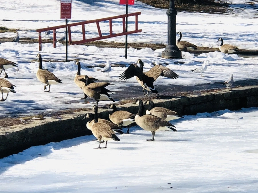 IMG_4852.jpg?type=w966