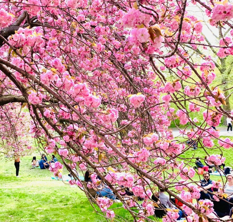 IMG_5200.jpg?type=w966