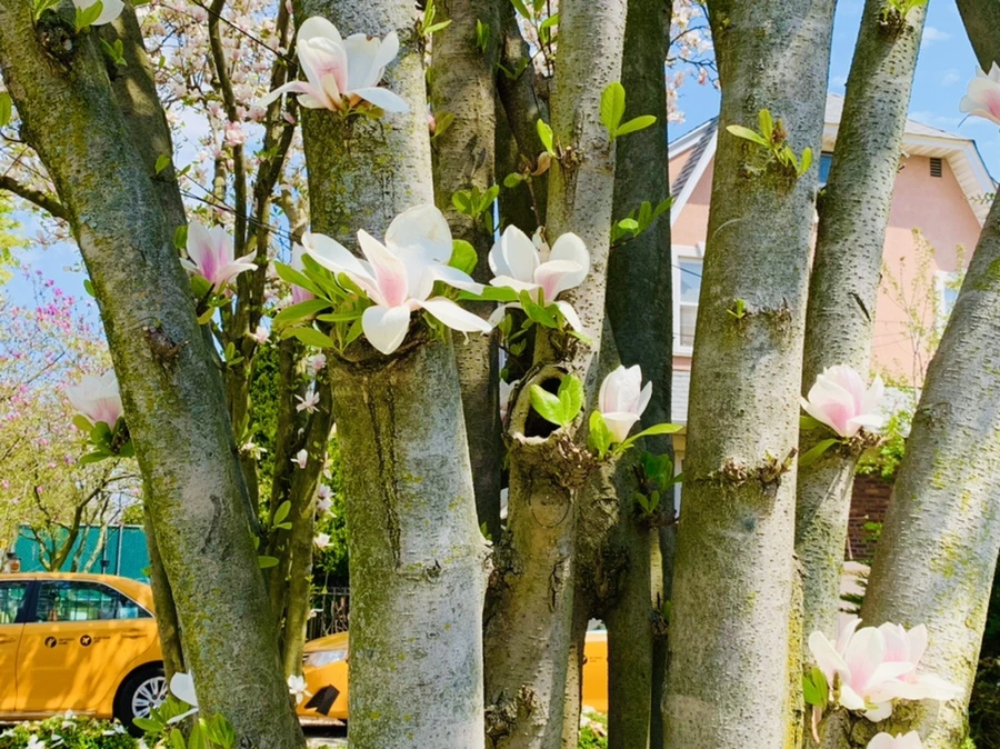 IMG_3926.jpg?type=w966