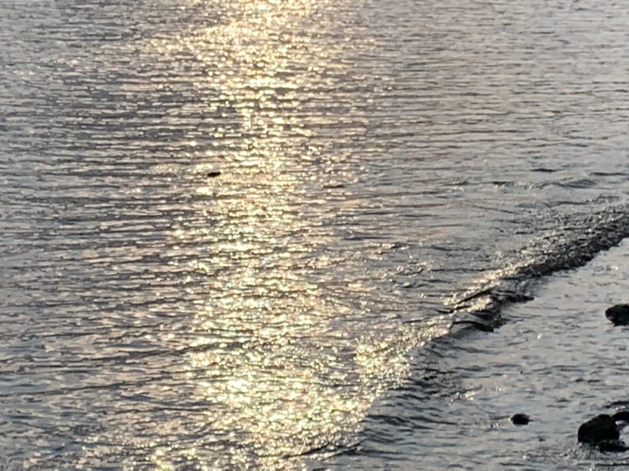 IMG_9908.jpg?type=w966