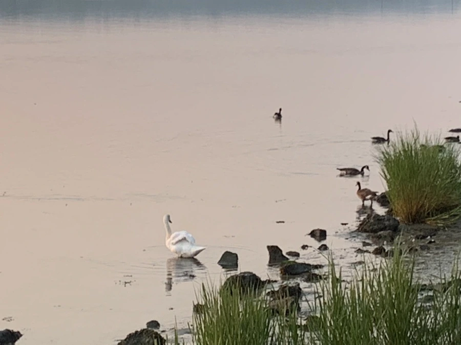 IMG_2021.jpg?type=w966