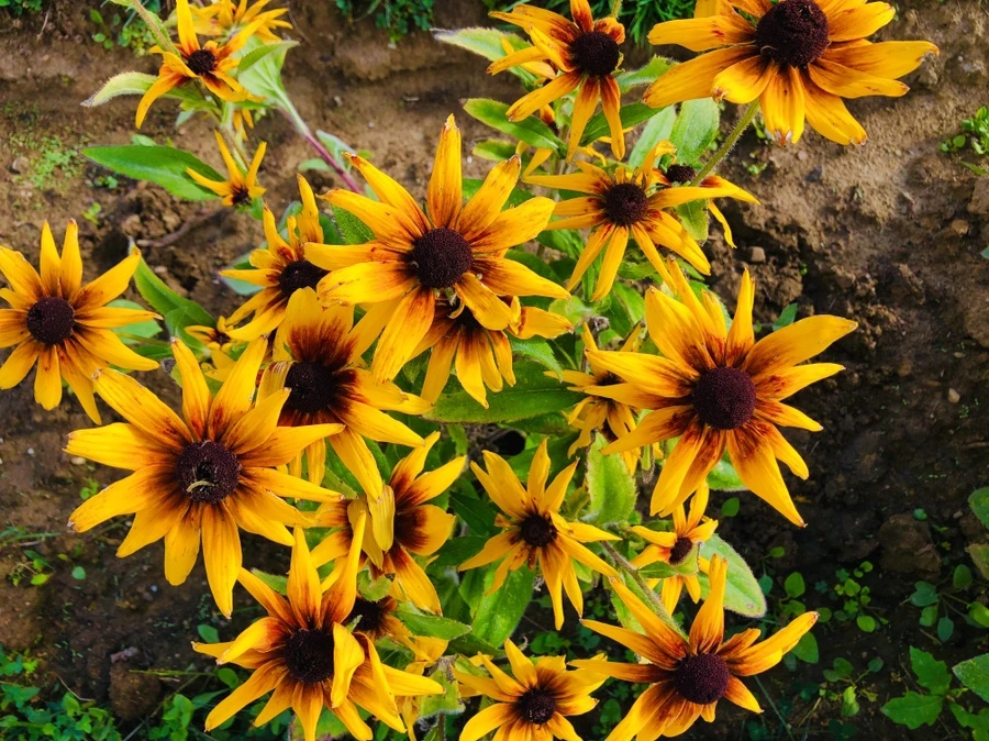 IMG_2960.jpg?type=w966