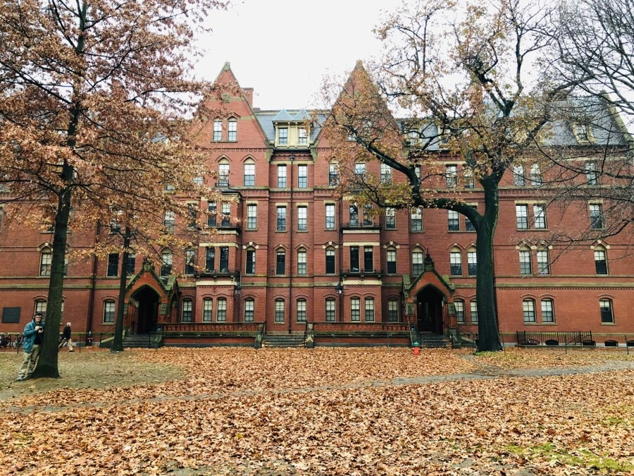 IMG_8088.jpg?type=w966