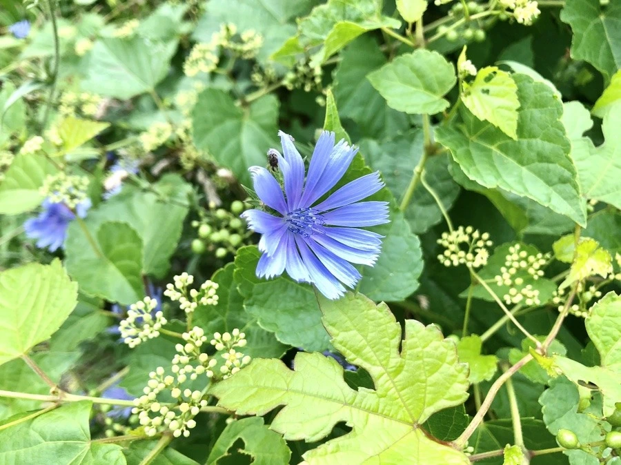 zeAqGntg731VubQr0YwzVsdJgf4