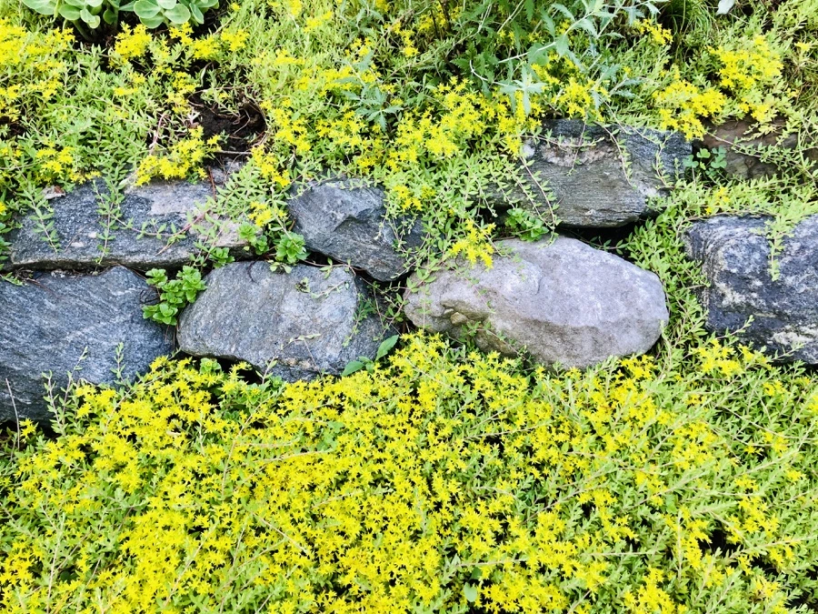 IMG_8385.jpg?type=w966