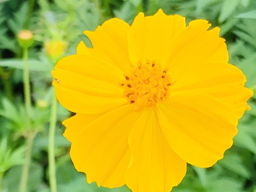 IMG_9461.jpg?type=w966