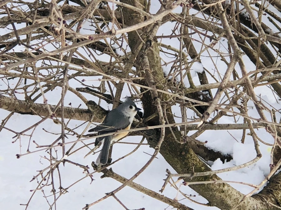 IMG_9330.jpg?type=w966