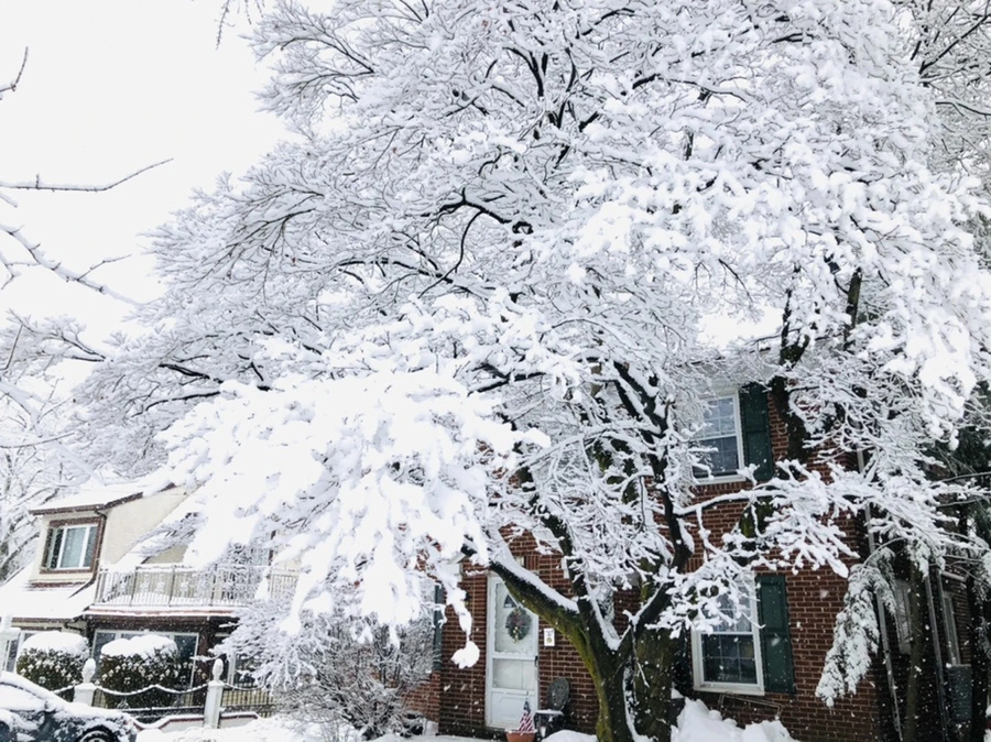 IMG_0966.jpg?type=w966