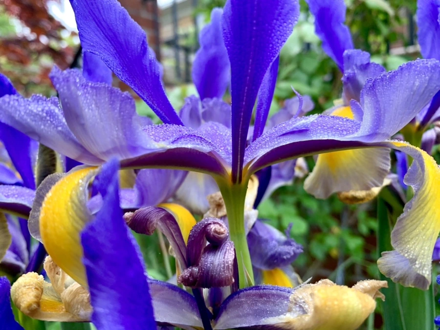 IMG_9703.jpg?type=w966