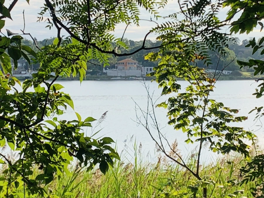 IMG_7811.jpg?type=w966