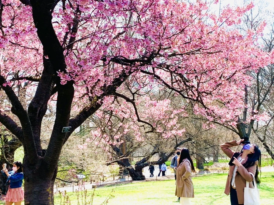 IMG_7350.jpg?type=w966