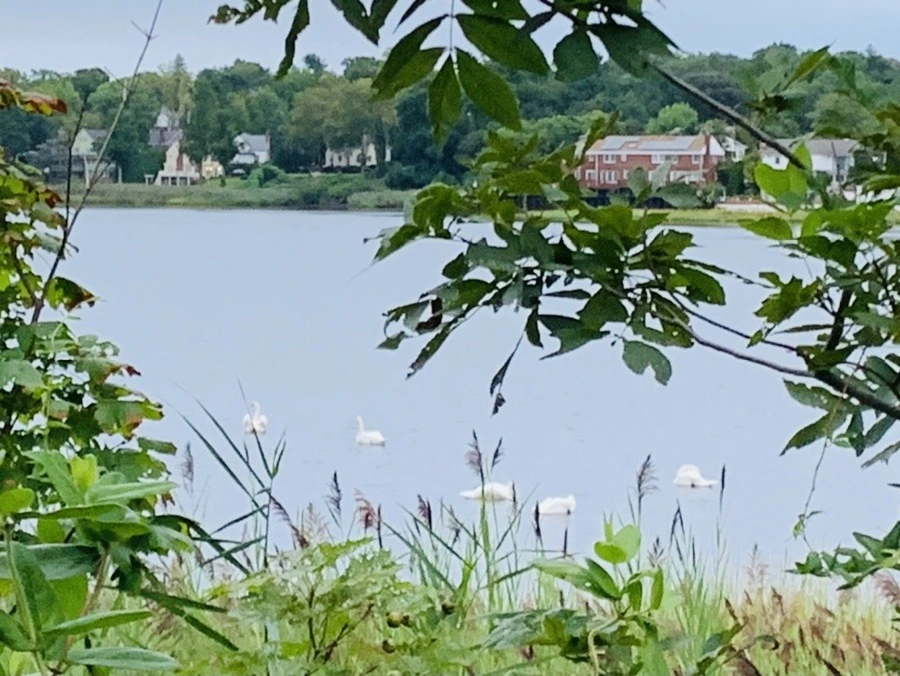 B9SyYgUr25OFGK_8FWOPuhDOau4