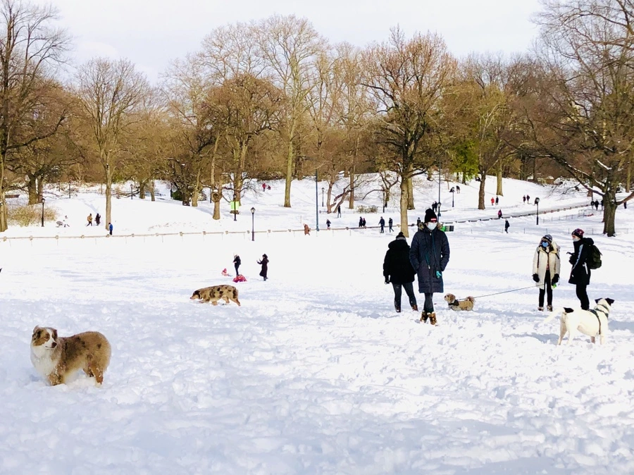 IMG_7075.jpg?type=w966