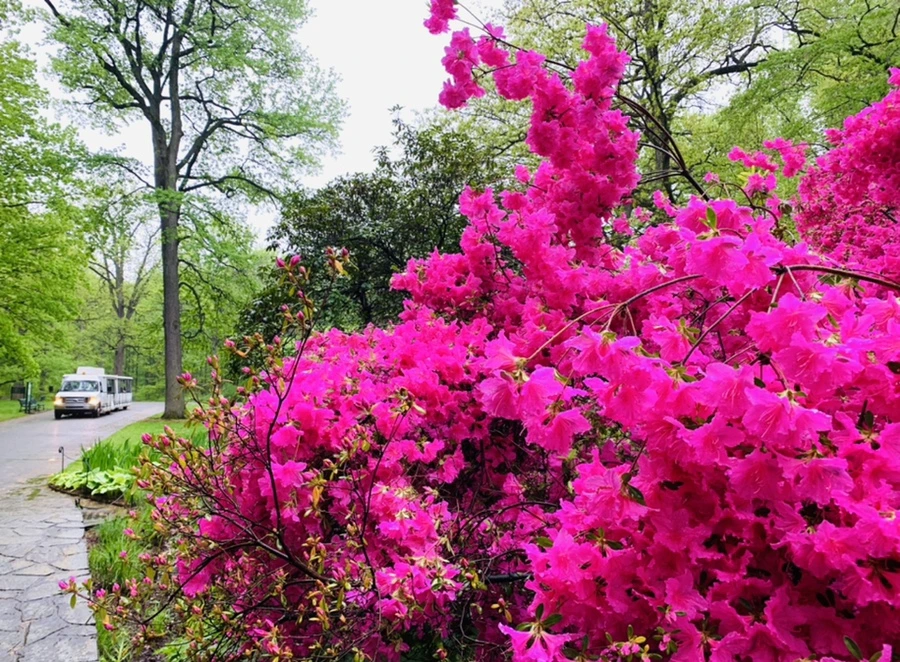 IMG_0298.jpg?type=w966