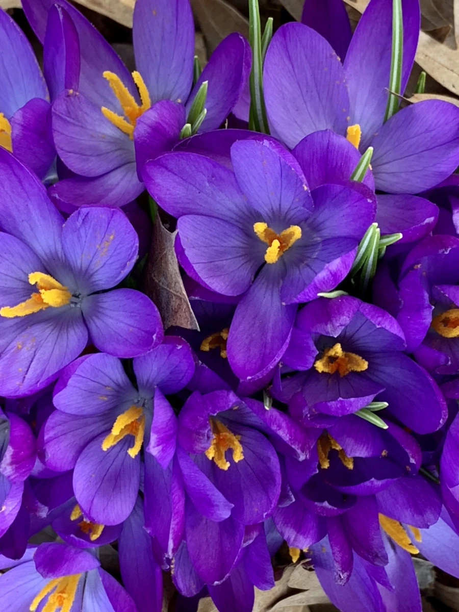 IMG_0174.jpg?type=w966