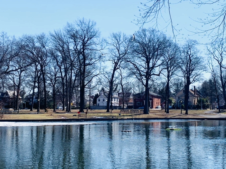 IMG_7019.jpg?type=w966