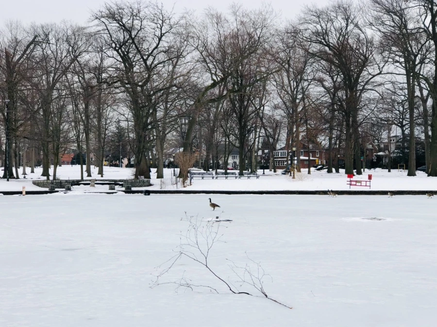 IMG_4419.jpg?type=w966