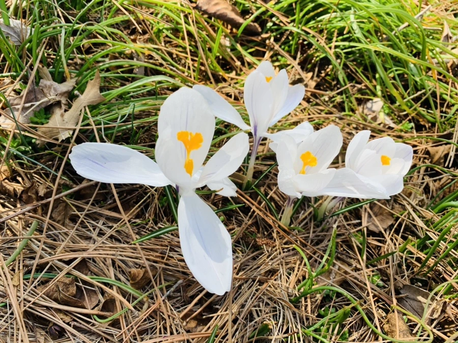 IMG_4369.jpg?type=w966