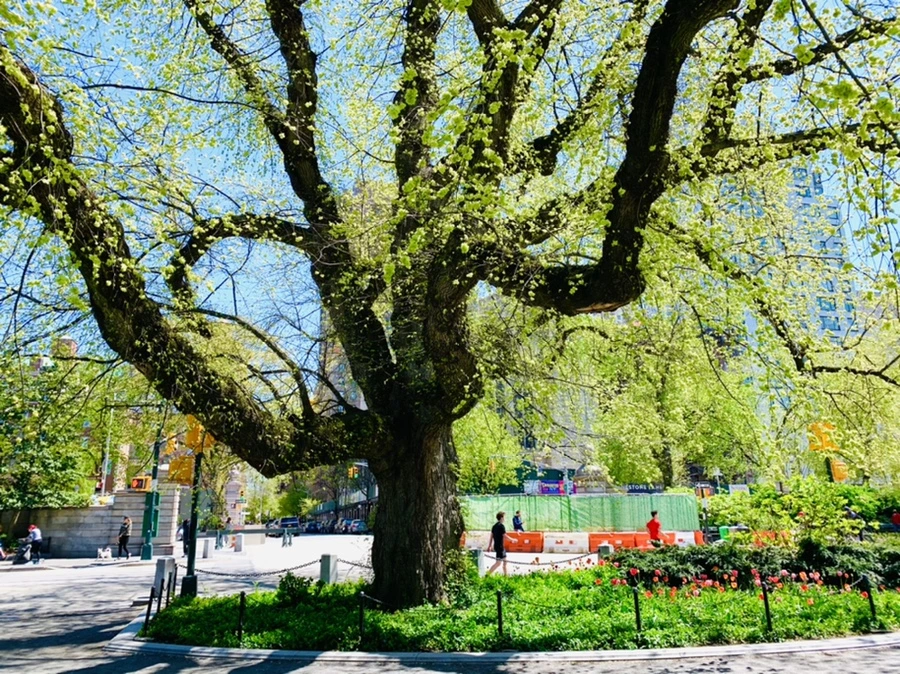 IMG_5678.jpg?type=w966