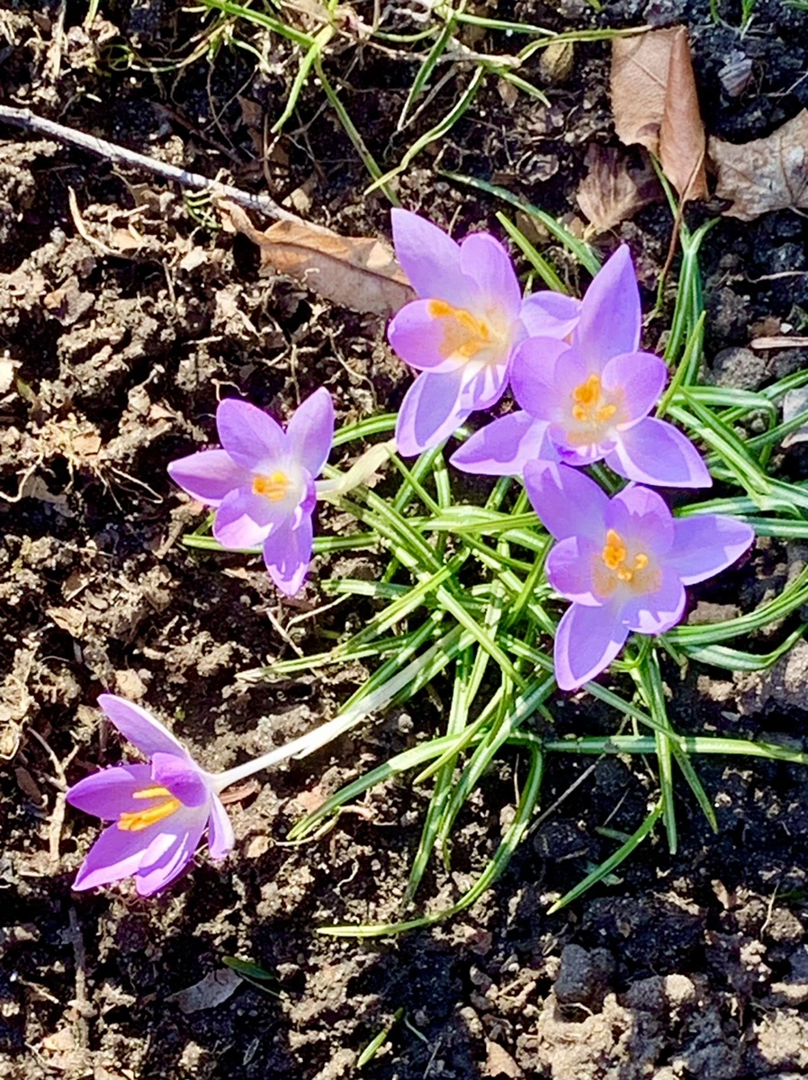 IMG_7041.jpg?type=w966