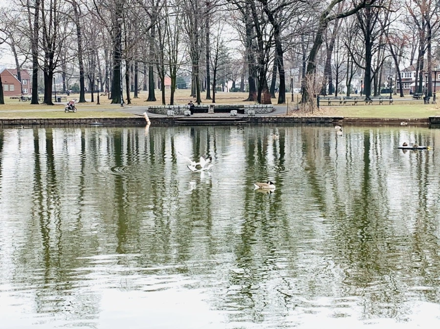 IMG_3851.jpg?type=w966