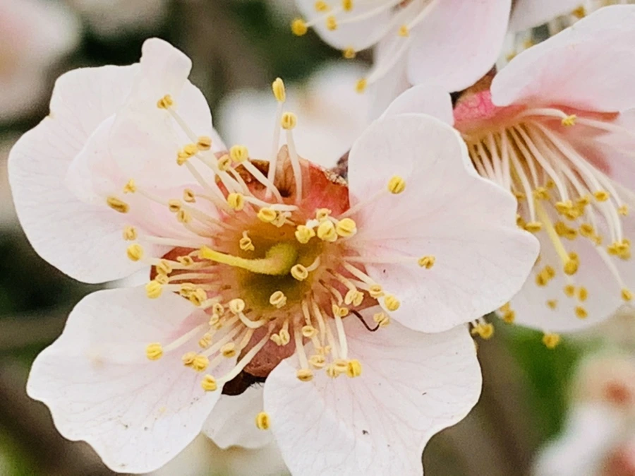 IMG_3557.jpg?type=w966