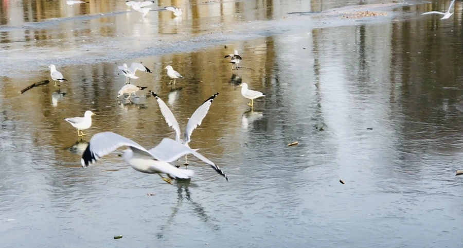 IMG_2086.jpg?type=w966